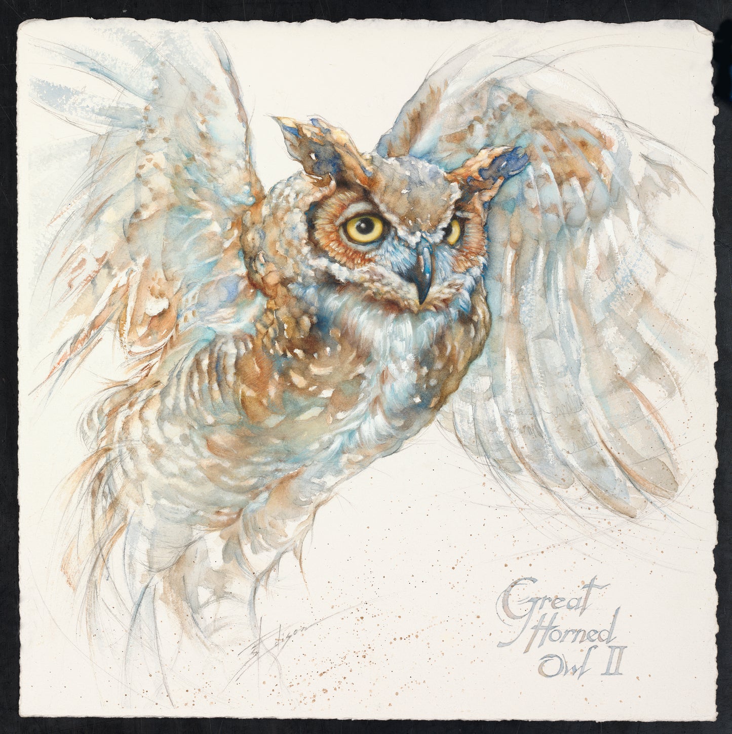 Complete Set of all 9 Texas Hill Country Wildlife Notecards with Bonus Owl (Q10cards)