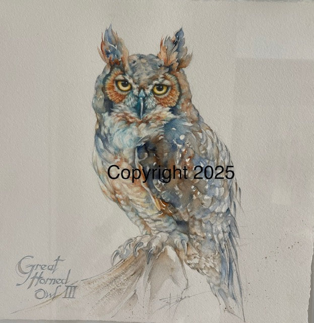 Great Horned Owl | Lone Star Love Notes | Original Art Notecard