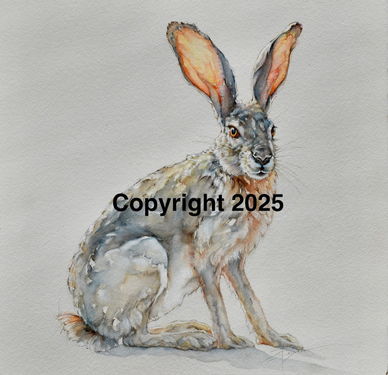 Rabbit | Lone Star Love Notes | Original Art Notecard