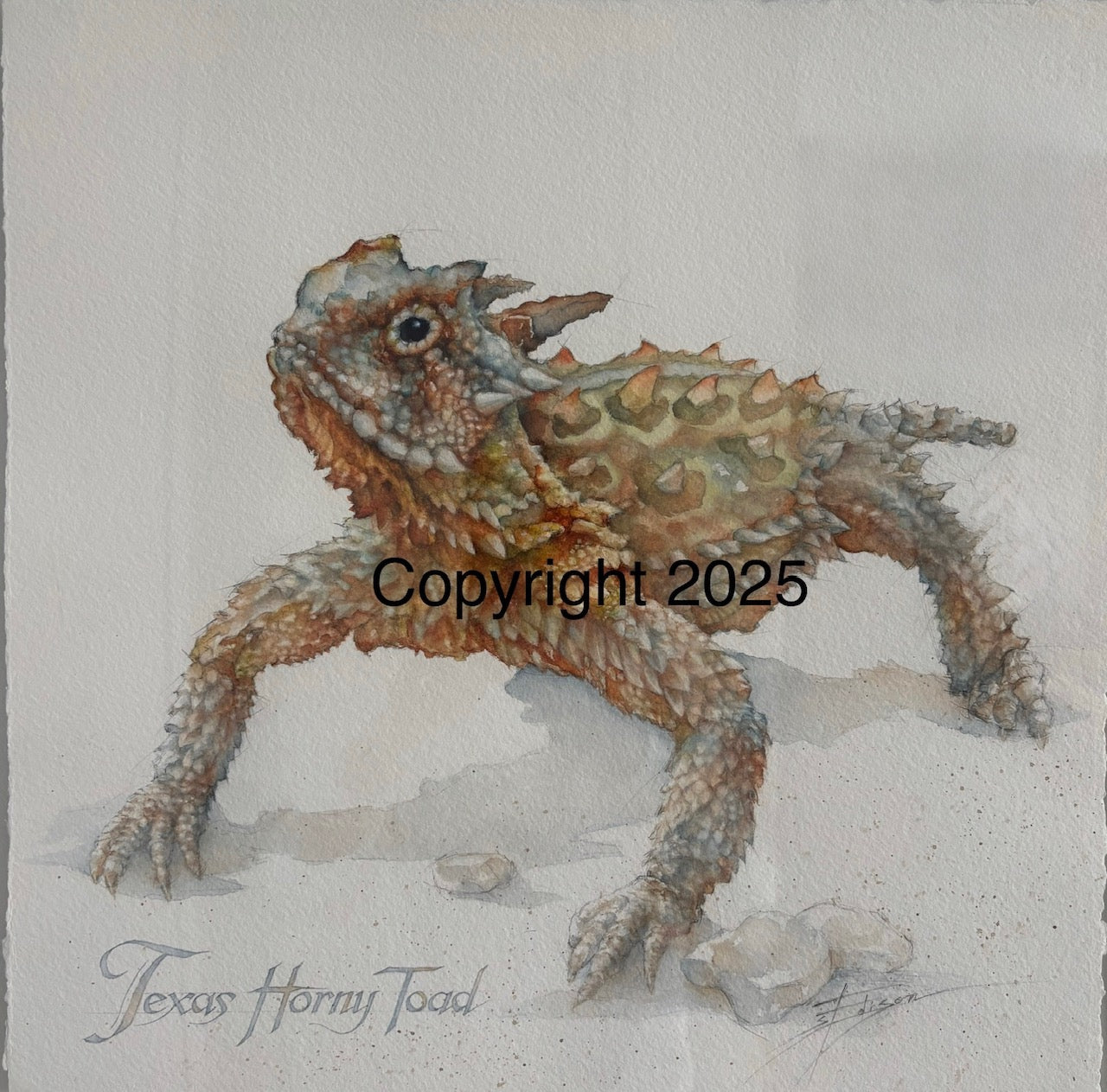 Texas Horny Toad | Lone Star Love Notes | Original Art Notecard
